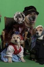 Watch Heidi 4 Paws M4ufreemovies