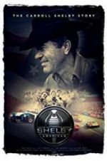 Watch Shelby American M4ufreemovies