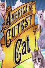 Watch America's Cutest Cat M4ufreemovies