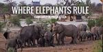 Watch Where Elephants Rule M4ufreemovies