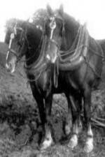 Watch All the King\'s Horses M4ufreemovies