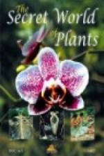 Watch The Secret World of Plants M4ufreemovies