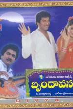 Watch Brundavanam M4ufreemovies