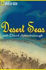 Watch Desert Seas M4ufreemovies