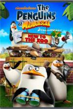 Watch Penguins of Madagascar New to the Zoo M4ufreemovies