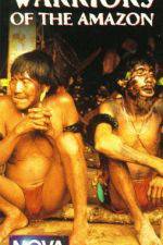 Watch Lost Treasures of Tibet M4ufreemovies