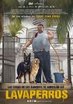 Watch Dogwashers M4ufreemovies