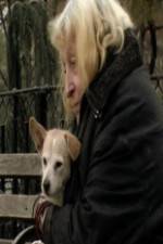 Watch Water in the Boat M4ufreemovies