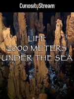 Watch Life 2,000 Meters Under the Sea M4ufreemovies