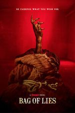 Watch Bag of Lies M4ufreemovies