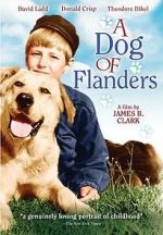 Watch A Dog of Flanders M4ufreemovies