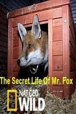 Watch The Secret Life of Mr. Fox M4ufreemovies