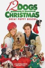 Watch 12 Dogs of Christmas Great Puppy Rescue M4ufreemovies