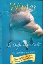 Watch Winter The Dolphin That Could M4ufreemovies