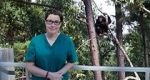 Watch Sue Perkins and the Chimp Sanctuary M4ufreemovies