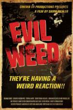 Watch Evil Weed M4ufreemovies