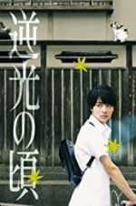 Watch Lights of Kyoto M4ufreemovies