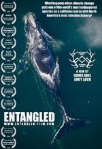 Watch Entangled: The Race to Save Right Whales from Extinction M4ufreemovies