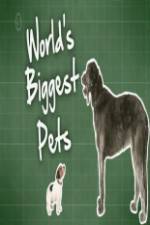Watch World's Biggest Pets M4ufreemovies