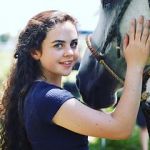 Watch Wildfire: The Legend of the Cherokee Ghost Horse M4ufreemovies