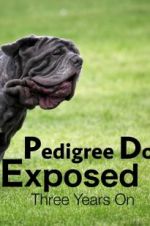 Watch Pedigree Dogs Exposed, Three Years On M4ufreemovies