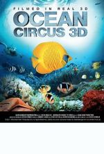 Watch Ocean Circus 3D: Underwater Around the World M4ufreemovies