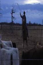 Watch Cowboy Christmas M4ufreemovies