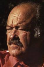 Watch The Return of Frank Cannon M4ufreemovies