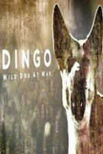 Watch Dingo Wild Dog at War M4ufreemovies