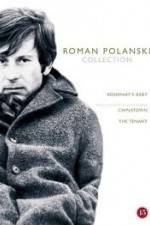 Watch The Fat and the Lean M4ufreemovies