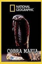 Watch National Geographic Cobra Mafia M4ufreemovies