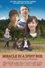 Watch Miracle in Kasama M4ufreemovies