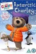 Watch Little Charley Bear - Antarctic Charley M4ufreemovies