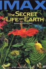 Watch The Secret of Life on Earth M4ufreemovies