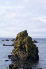 Watch Mad Little Island M4ufreemovies