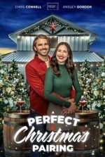 Watch A Perfect Christmas Pairing M4ufreemovies