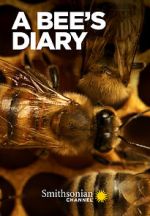 Watch A Bee\'s Diary (TV Special 2022) M4ufreemovies
