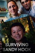 Watch Surviving Sandy Hook M4ufreemovies