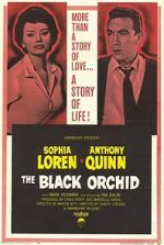 Watch The Black Orchid M4ufreemovies