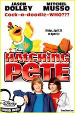 Watch Hatching Pete M4ufreemovies