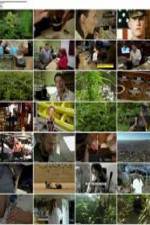 Watch National Geographic: Super weed M4ufreemovies