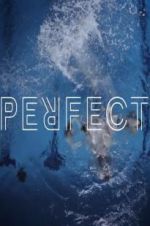 Watch Perfect M4ufreemovies