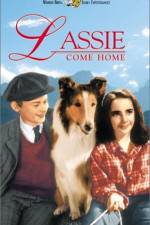 Watch Lassie Come Home M4ufreemovies