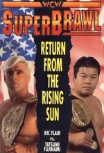Watch WCW SuperBrawl I M4ufreemovies