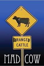 Watch Mad Cow M4ufreemovies