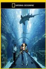 Watch National Geographic Megastructures Dubai Mega Mall M4ufreemovies