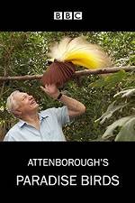 Watch Attenborough's Paradise Birds M4ufreemovies