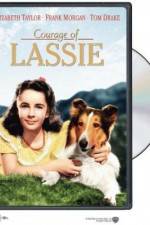 Watch Courage of Lassie M4ufreemovies