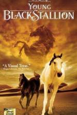 Watch The Young Black Stallion M4ufreemovies