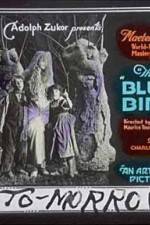 Watch The Blue Bird M4ufreemovies